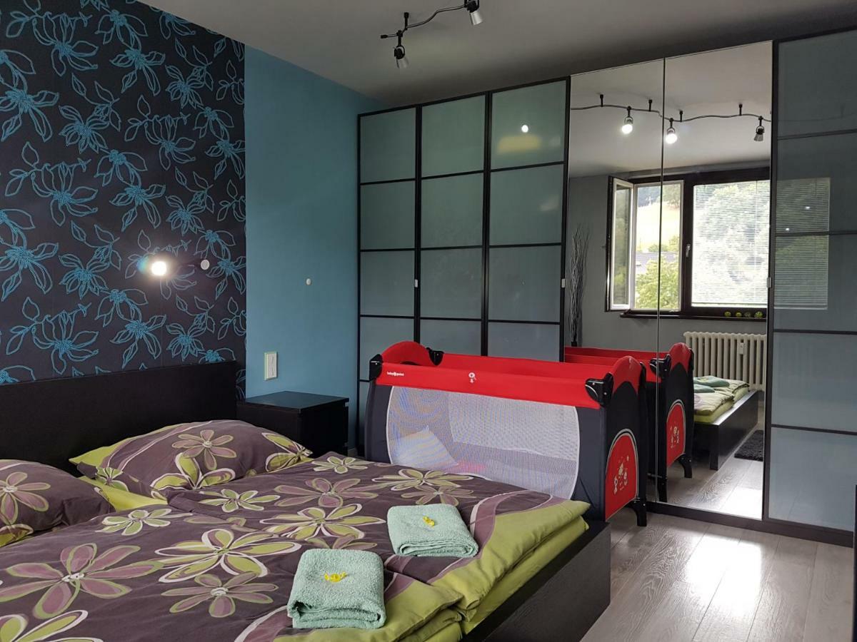 Apartman 77 Loučná nad Desnou Eksteriør billede